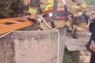 Pies wpadł do głębokiej studni. Na pomoc ruszyli strażacy