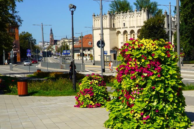 Starówka w Pabianicach