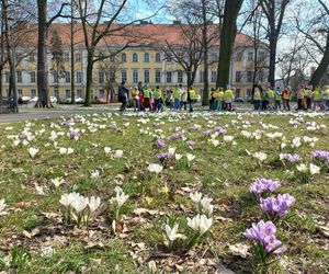 W Parku Kościuszki w Lesznie powitano wiosnę