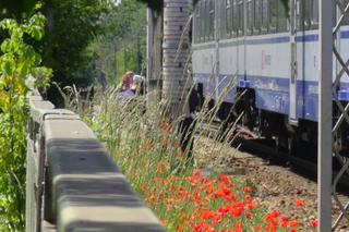 Tragedia na moście Gdańskim! Pieszy wpadł pod pociąg, nie było szans na ratunek