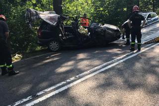 W tragicznym wypadku pod Łaskiem zginął 23-latek