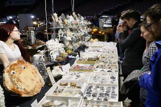 Dragon EXPO i GEO EXPO w Katowicach