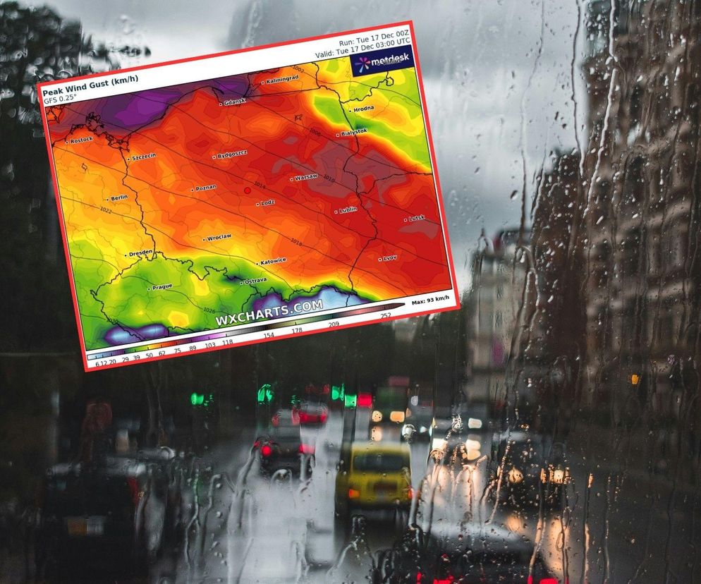 Skrajnie wysokie temperatury w grudniu. Przed świętami w Polsce zobaczymy dwucyfrowe wartości na plusie