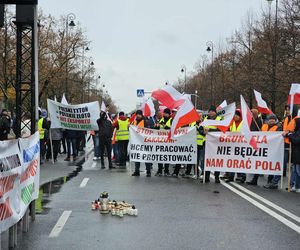 Plantatorzy tytoniu protestowali w Warszawie. Bruksela nie będzie nam orać pola