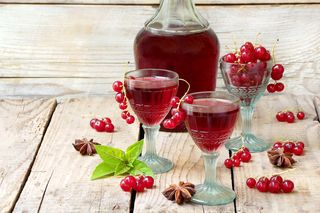 Wino z czerwonych porzeczek - jak zrobić winko porzeczkowe?