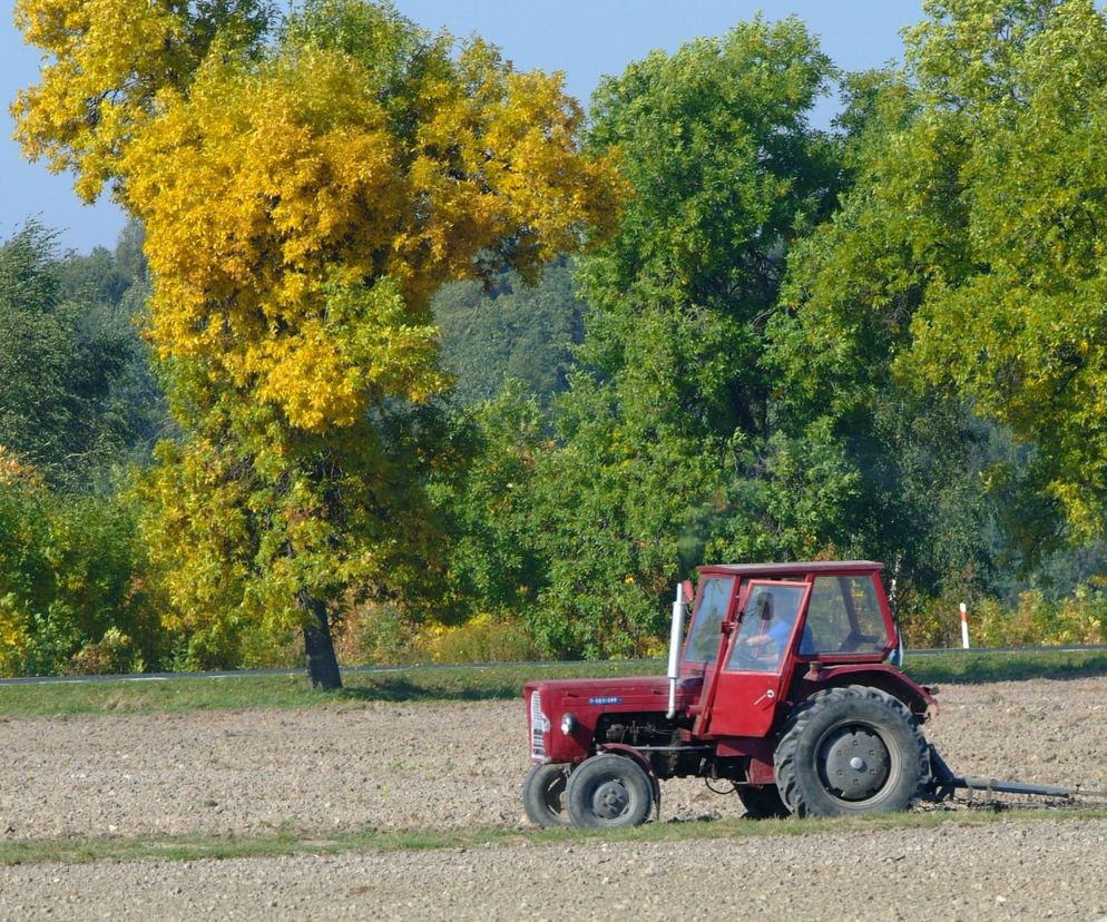 Rolnik 