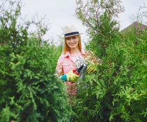 Rozmnażaj tuje jak ekspert - prosty sposób na nowe sadzonki!