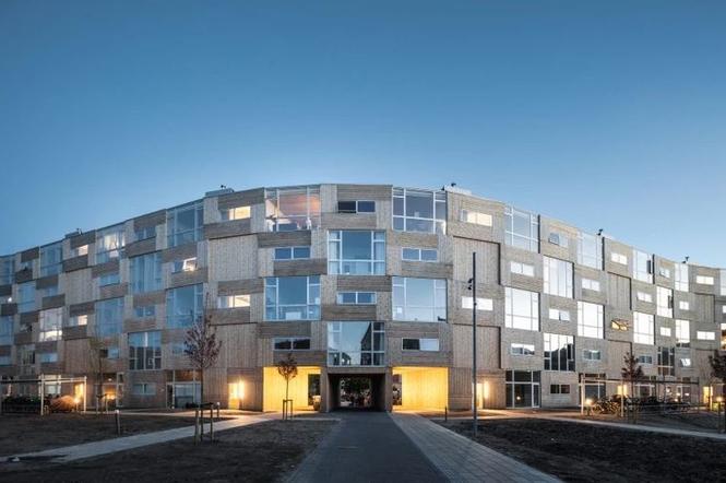 Standard mieszkań socjalnych w Danii powala. Wyglądają jak z wnętrzarskiego katalogu