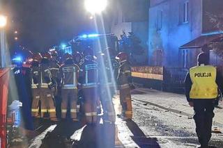 Dawid zamordował matkę i zabił się w wypadku