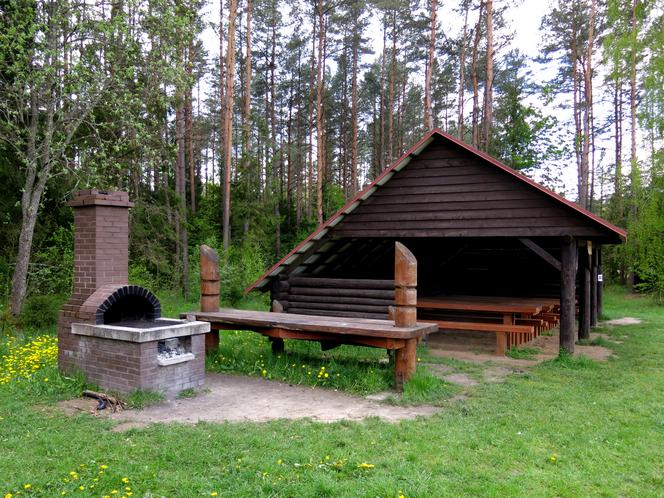 W Kopnej Górze powstaje pokazowa zagroda żubrów