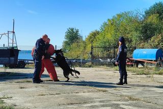 ćwiczenia nad Zalewem Sulejowskim