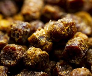 W Niemczech uznawana za lek, w Polsce zapomniana. Wspiera wątrobę, poprawia odporność