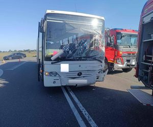 Śmiertelny wypadek na DK5. Toyota wjechała pod autobus. 27-latka nie żyje