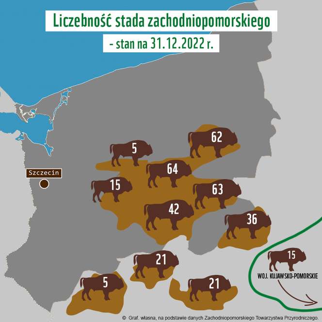 Spada liczba żubrów w północno-zachodniej Polsce