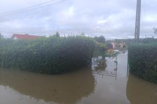 Powódź 2024. Dramatyczna sytuacja w Nysie