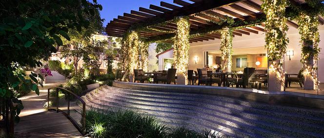 Pili wino całą noc