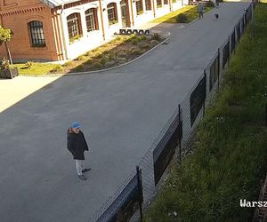 Starsza pani wyrwała rododendrona z Fabryki Pełnej Życia