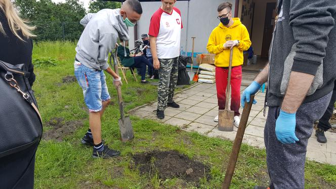 Projekt Akademia Ogrodnika w Sosnowcu 