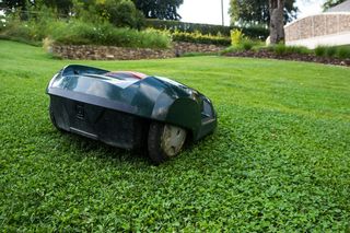 Robot koszący – wady i zalety. Czy warto zdecydować się na automatyczną kosiarkę?