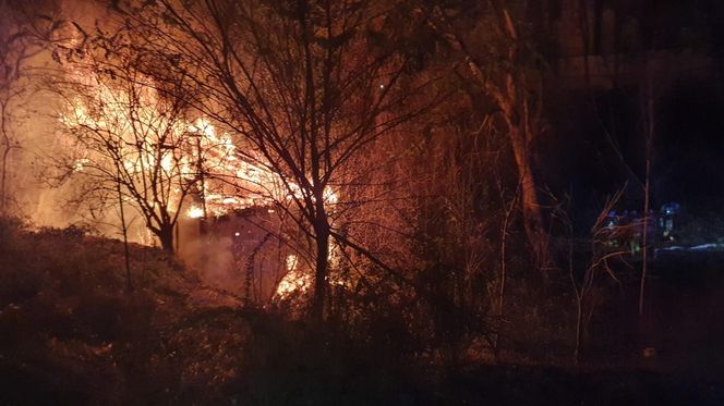 Lublin. Tragiczny pożar pustostanu. Trzy osoby nie żyją [ZDJĘCIA].