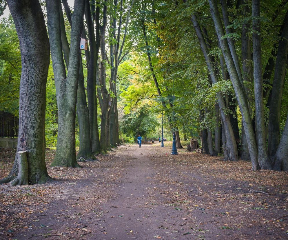 To jeden z najpiękniejszych parków w Warszawie. Część zielonego terenu czeka modernizacja
