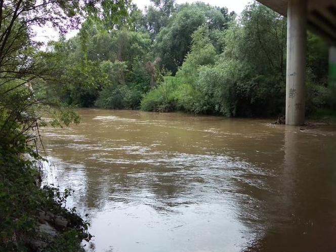 Sytuacja hydrologiczna w Tarnowie. Czy grozi nam powódź?