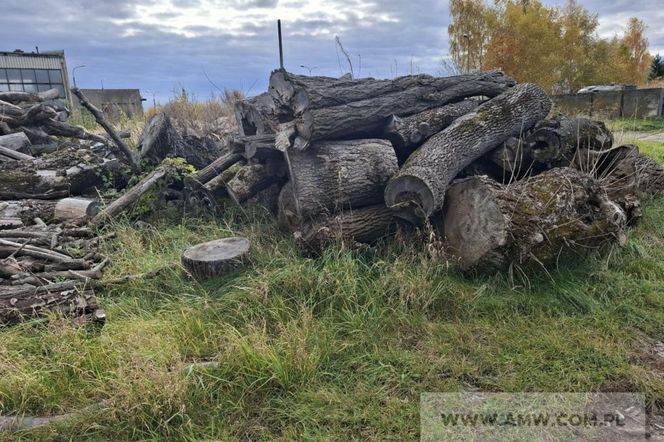 Lublin - drewno i sprzęt warsztatowy na wojskowej wyprzedaży [AUDIO]