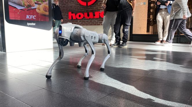 23. Olsztyńskie Dni Nauki i Sztuki