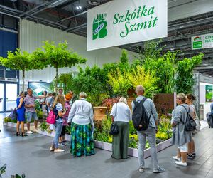 Targi Zieleń to życie 2025 - rośliny doniczkowe