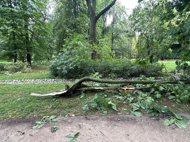 Łazienki Królewskie jednak zamknięte do odwołania