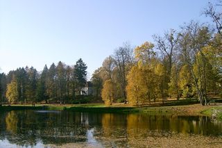 Kuracjusze nie mają pojęcia o tym uzdrowisku!