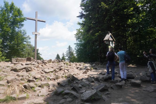 Puszcza Jodłowa i Góry Świętokrzyskie