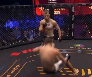 Brutalny nokaut na gali w Polsce! Bezlitośnie wykończył rywala już w pierwszej rundzie [WIDEO]