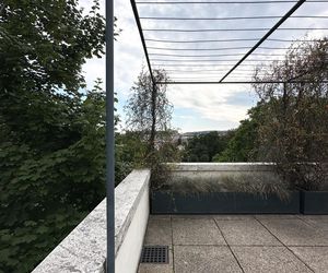 Willa Tugendhatów w Brnie