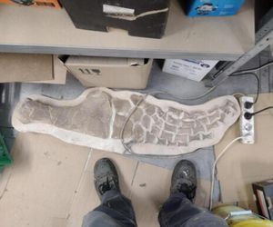 Mineral Expo w Pałacu Kultury ze szkieletem ichtiozaura