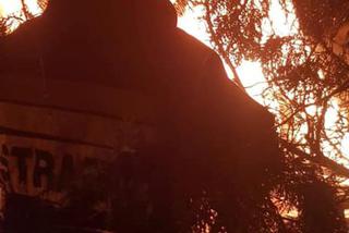 Pożar domków letniskowych w podbydgoskim Borównie! [ZDJĘCIA]