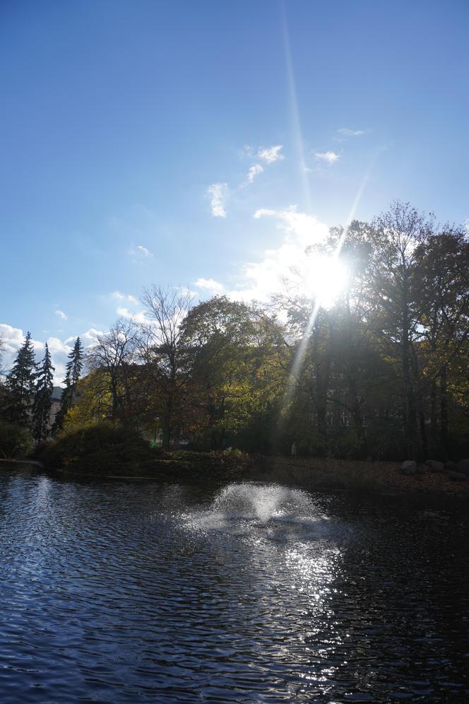 Park Wilsona jesienią