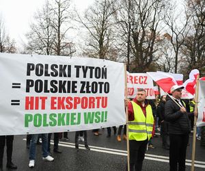 Protest plantatorów tytoniu w Warszawie (3.11.2025)