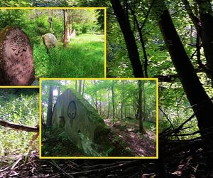 Tajemniczy cmentarz i ruiny w środku lasu pod Szczecinem. Groby szlacheckiego rodu kryją mroczne sekrety?