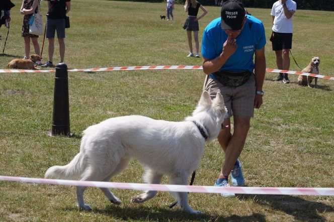 Psia radość i ludzkie serca. Myślęcinek pełen dobrych ludzi i ich czworonogów