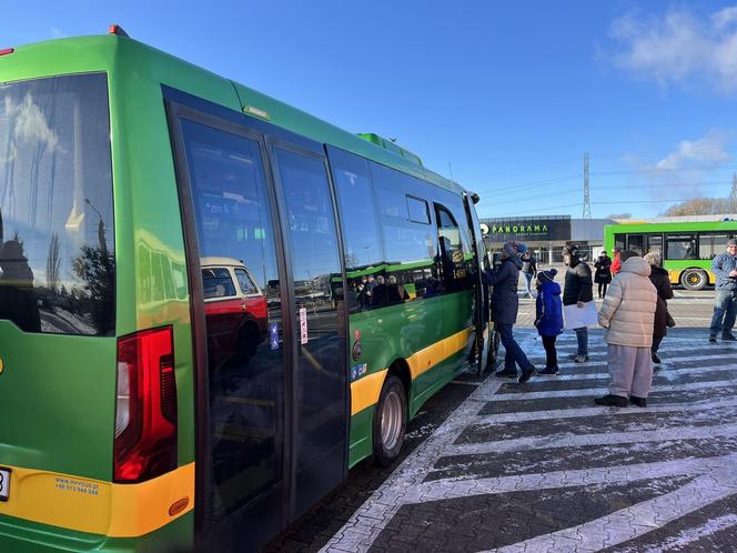 Katarzynki 2023. Prezentacja autobusów w Poznaniu. Zabytkowe autobusy w Poznaniu