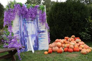 Farma dyń 2023 w Lublinie. Tak było w weekend otwarcia!