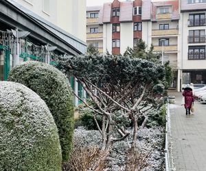 Osiedle Zielone Wzgórza w Murowanej Goślinie