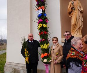 Rekordowe palmy i kiermasz świąteczny w Krynkach