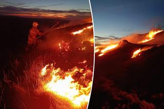Pożar Połoniny Caryńskiej w Bieszczadach. Walka z ogniem w górach