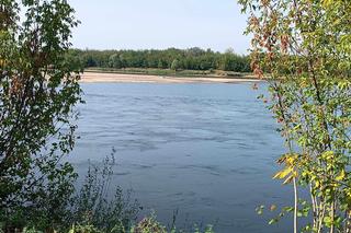 Grudziądz. Tak wygląda sytuacja hydrologiczna na Wiśle 