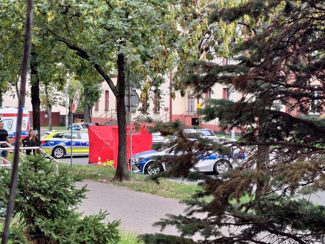 Ukradł nóż i zaźgał człowieka. Dariusz J. usłyszał zarzuty