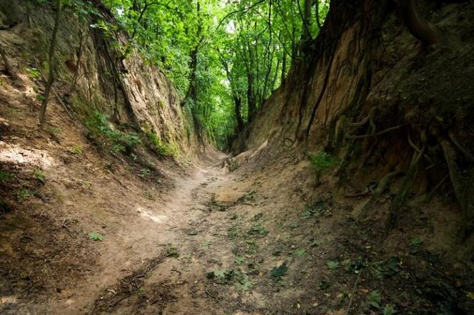 Sandomierz. Wąwóz Królowej Jadwigi