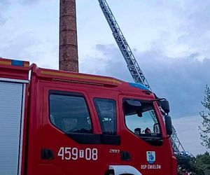 Bocian wpadł do 24-metrowego komina. Strażacy ratowali go 3 godziny [ZDJĘCIA]. 