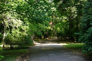 Czas na zmiany w Parku Bronowickim. Tak się prezentuje przed planowaną „metamorfozą”. ZDJĘCIA